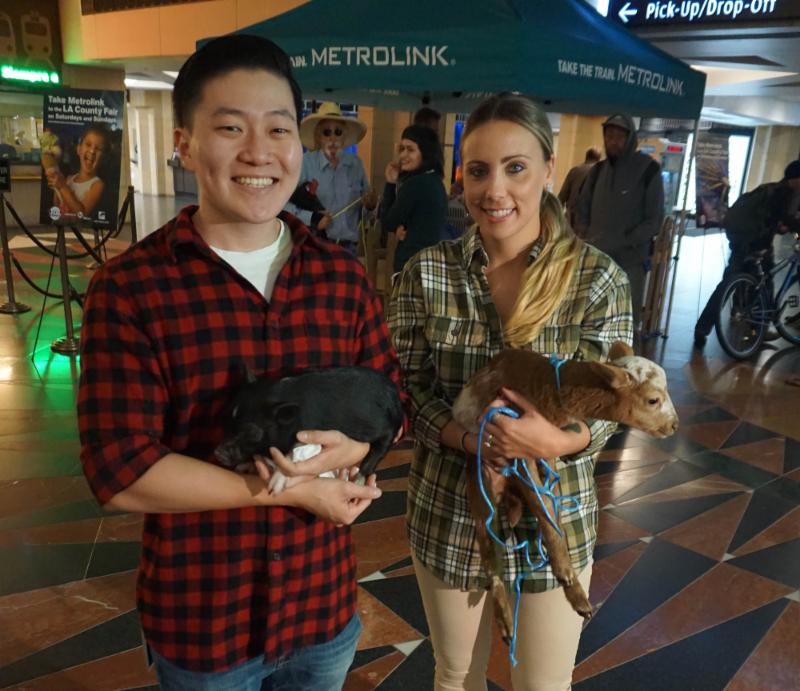 Petting Zoo Baby Animals 